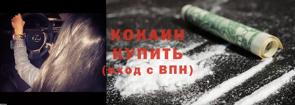 сатива Осинники