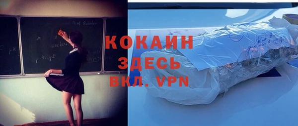 сатива Осинники
