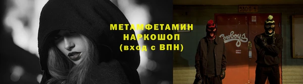 ALPHA PVP Остров