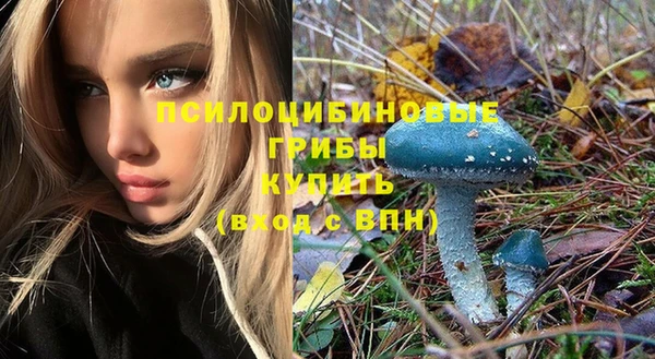 сатива Осинники
