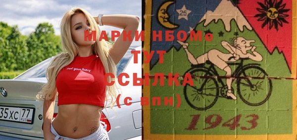 сатива Осинники