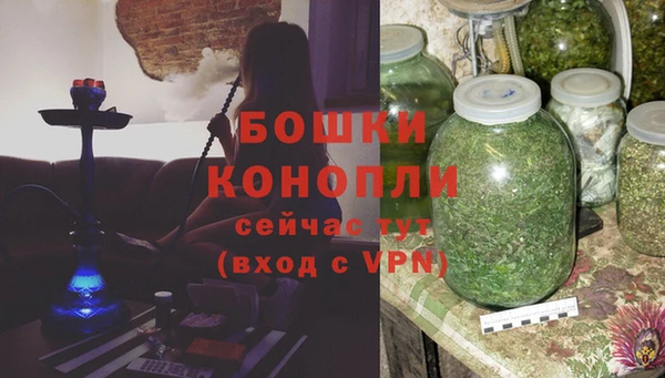 ALPHA PVP Остров