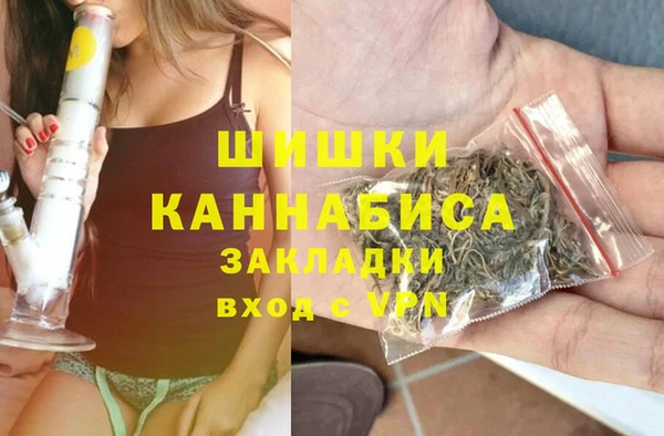 сатива Осинники