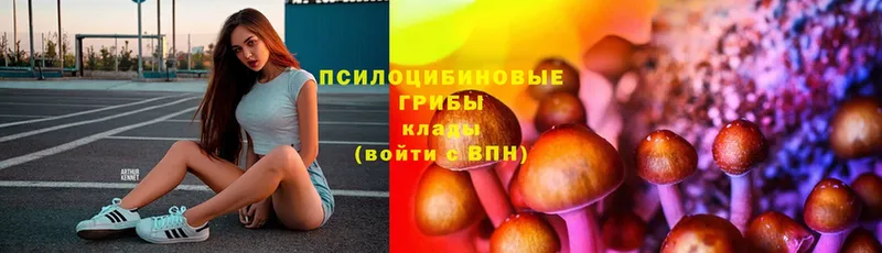 Галлюциногенные грибы ЛСД  Уяр 