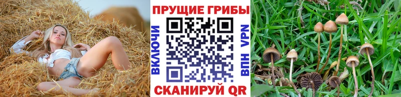 нарко площадка официальный сайт  Уяр  Псилоцибиновые грибы MAGIC MUSHROOMS 